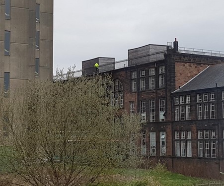 Work at Height Survey